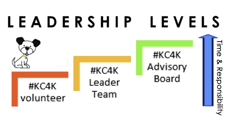 leadership levels
